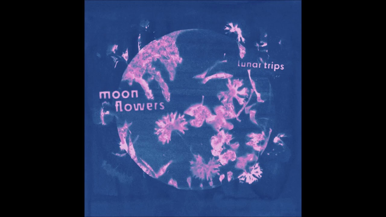 Lunar Trips - The Tenant