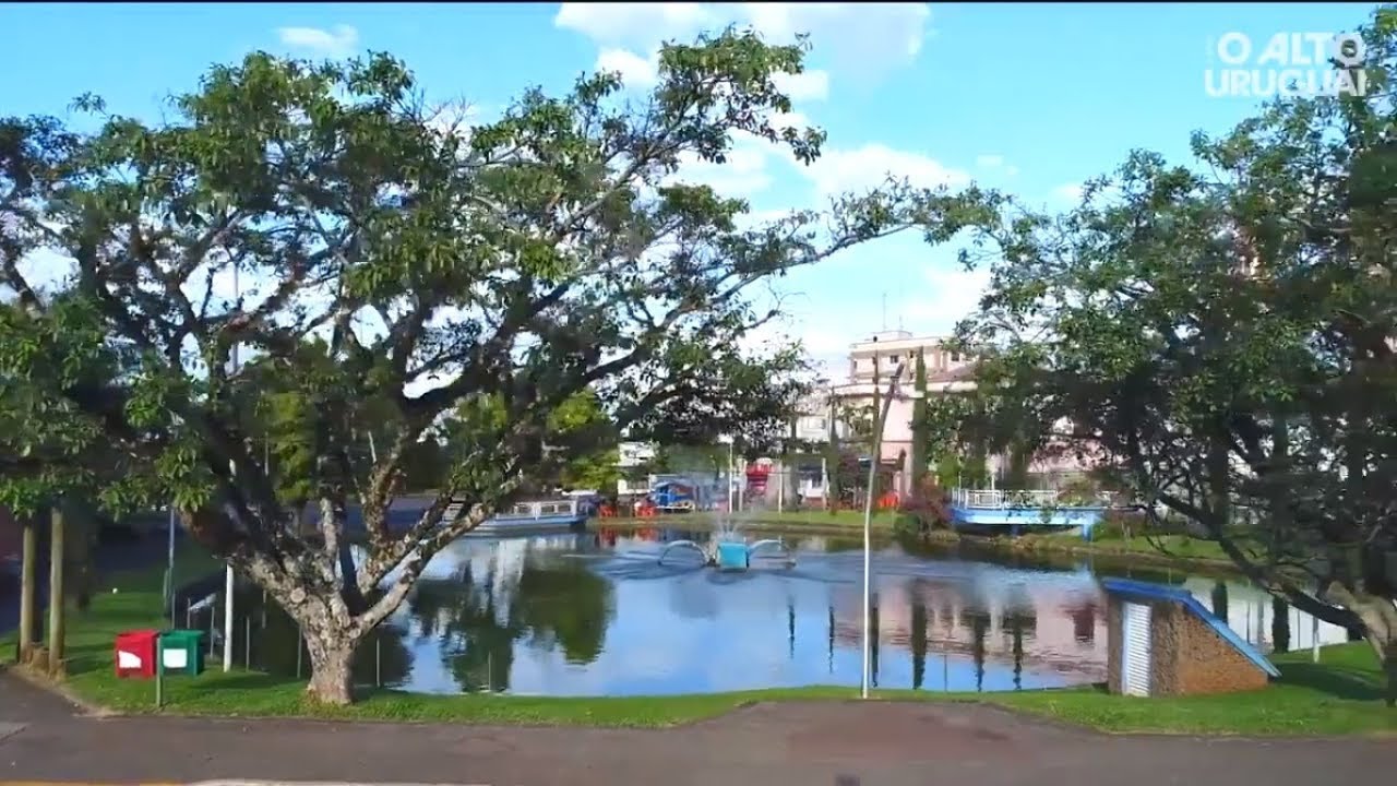 Palmitinho - 52 anos