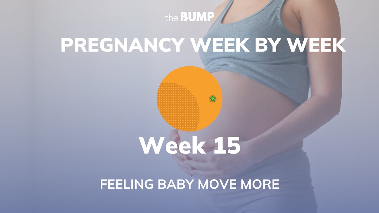 Pregnancy Week 15 | Feeling Baby Move More | Pregnancy Week By Week