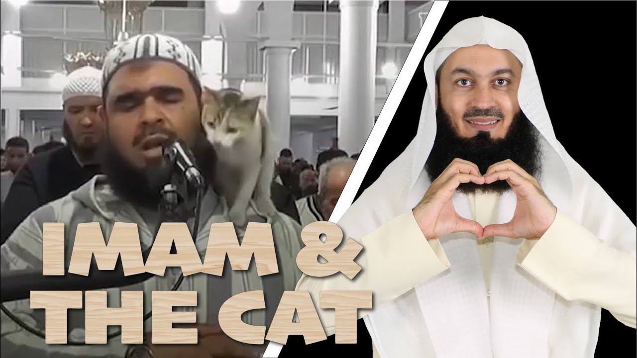 The Cat & the Imam 😺 - Mufti Menk Responds