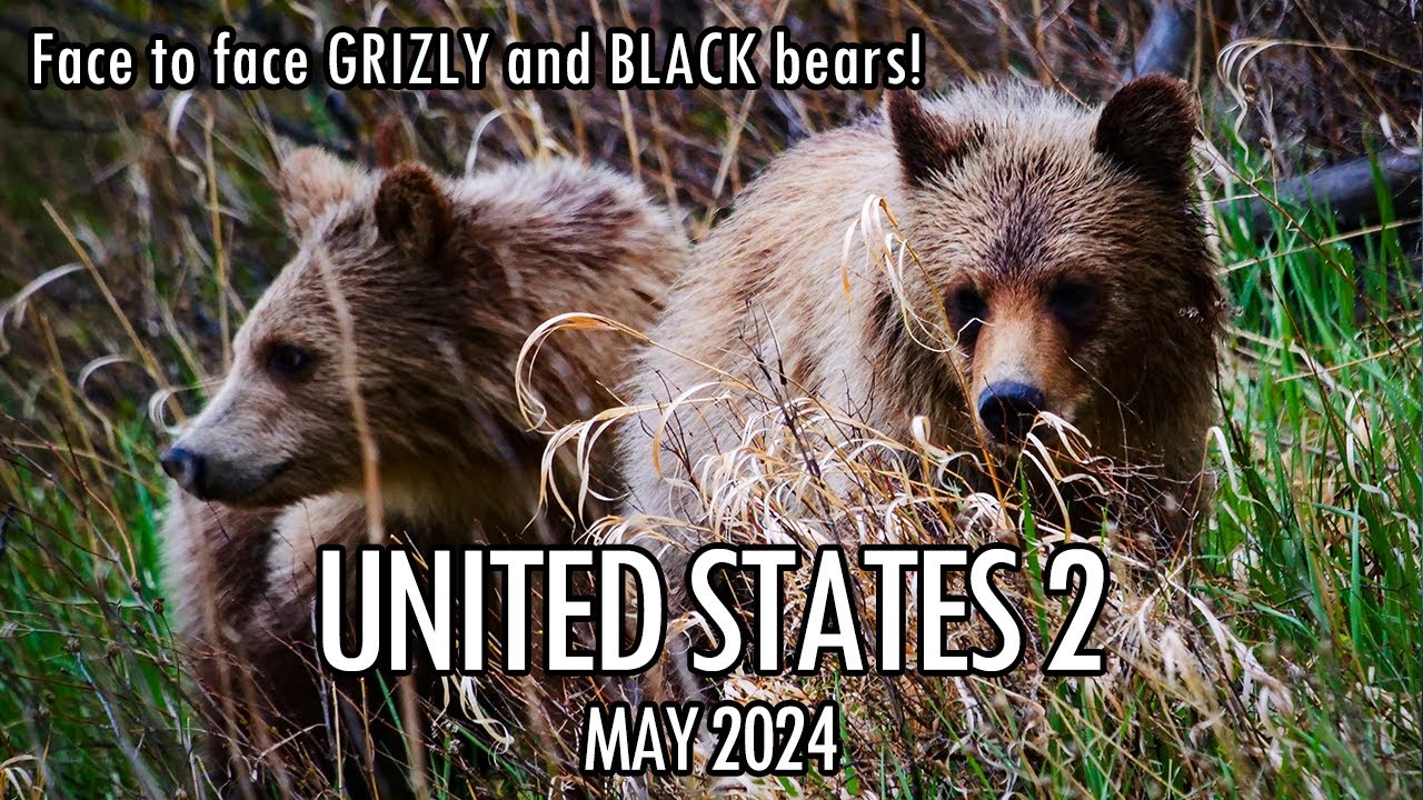 USA Road Trip 2: Through the Heart of the USA - Colorado, Wyoming, South Dakota, and Montana