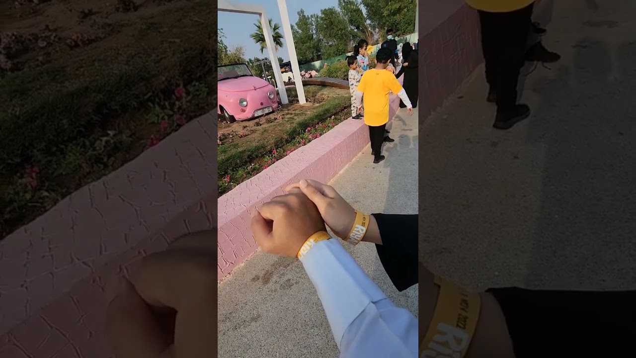 ١١ نوفمبر ٢٠٢٣