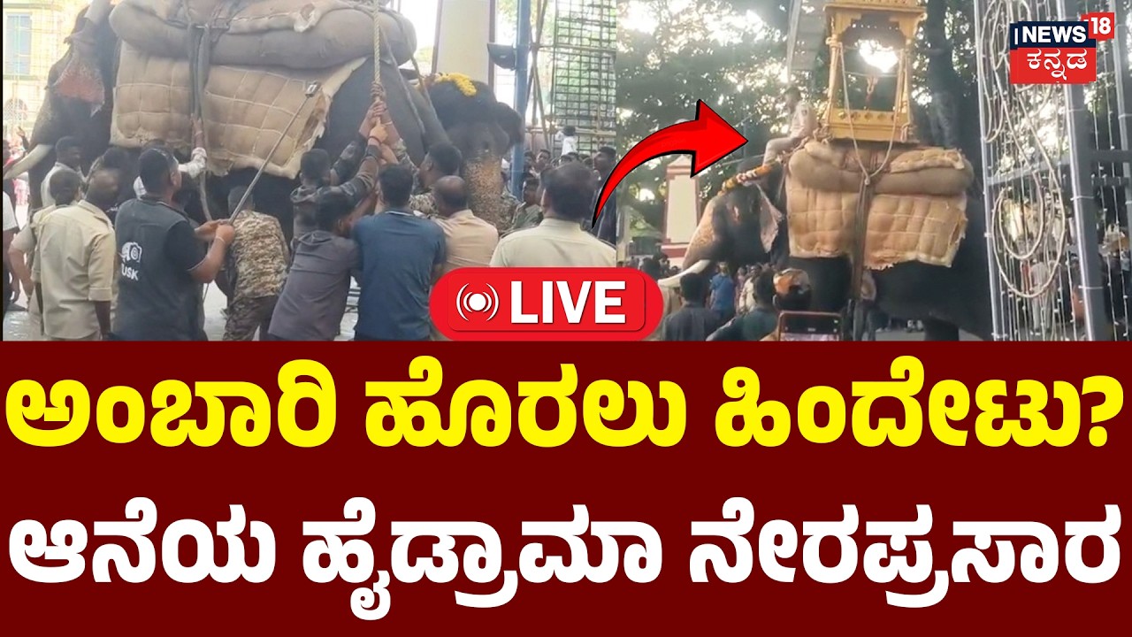 LIVE: Mysuru Dasara Elephant Mahendra High Drama: ತಾಲೀಮು ವೇಳೆ ಮಹೇಂದ್ರ ಆನೆ ಹೈಡ್ರಾಮಾ