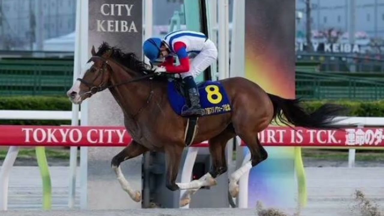 🏇🔥【大逆転！】ナンセイホワイトが衝撃の末脚でフジノウェーブ記念制覇🏆安藤洋一と悲願の初タイトル獲得！🎉