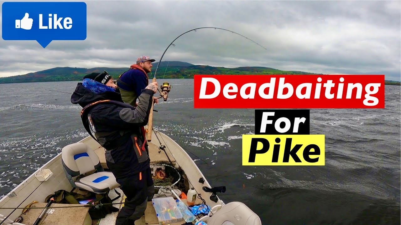 How to Catch Pike with Deadbaits - Bottom Bouncing - Pop Up Drifting method