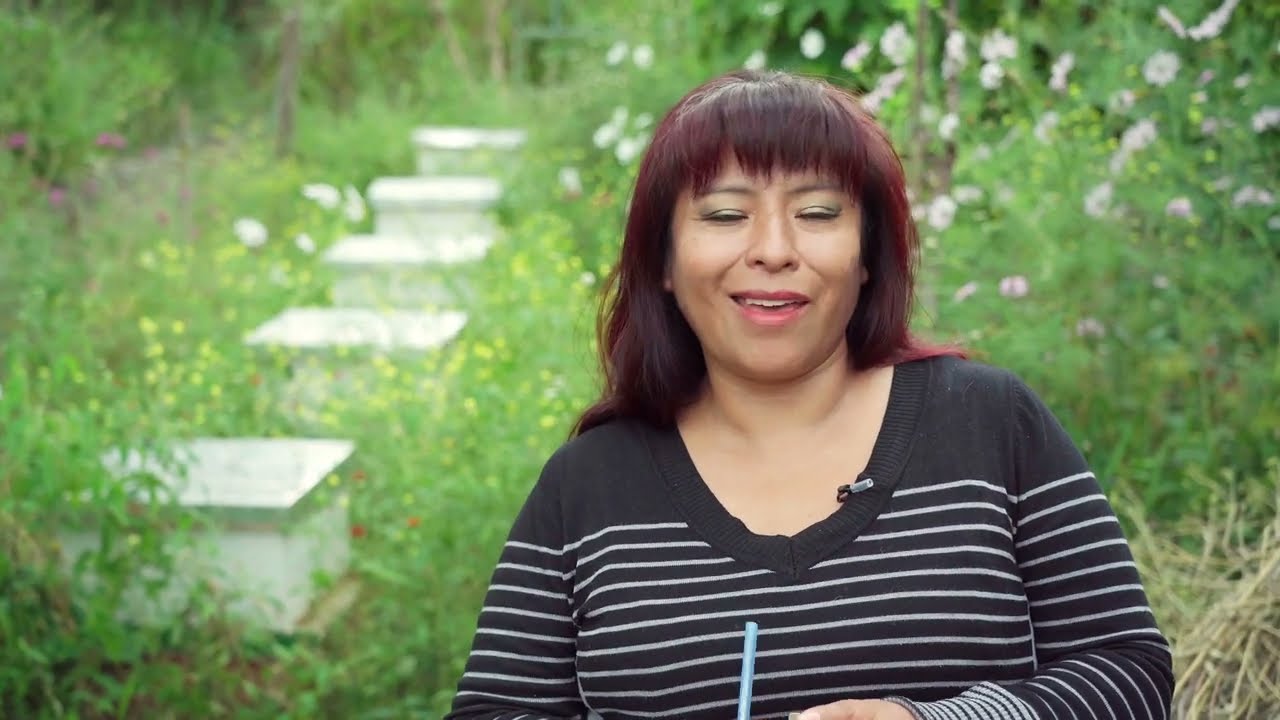 Apicultura familiar en Cochabamba. Producción de miel y cultivo de alimentos en convivencia