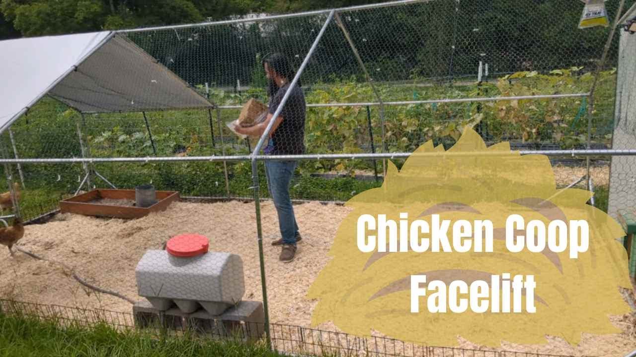 Chicken Coop Facelift | Upgrades For The Chickens