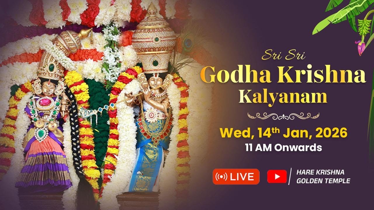 🔴 LIVE : Sri Sri Godha Krishna Kalyanam | Sankranti Special | Hare Krishna Golden Temple