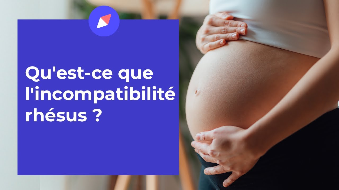Qu’est-ce que l’incompatibilité rhésus ? - Question Gynéco