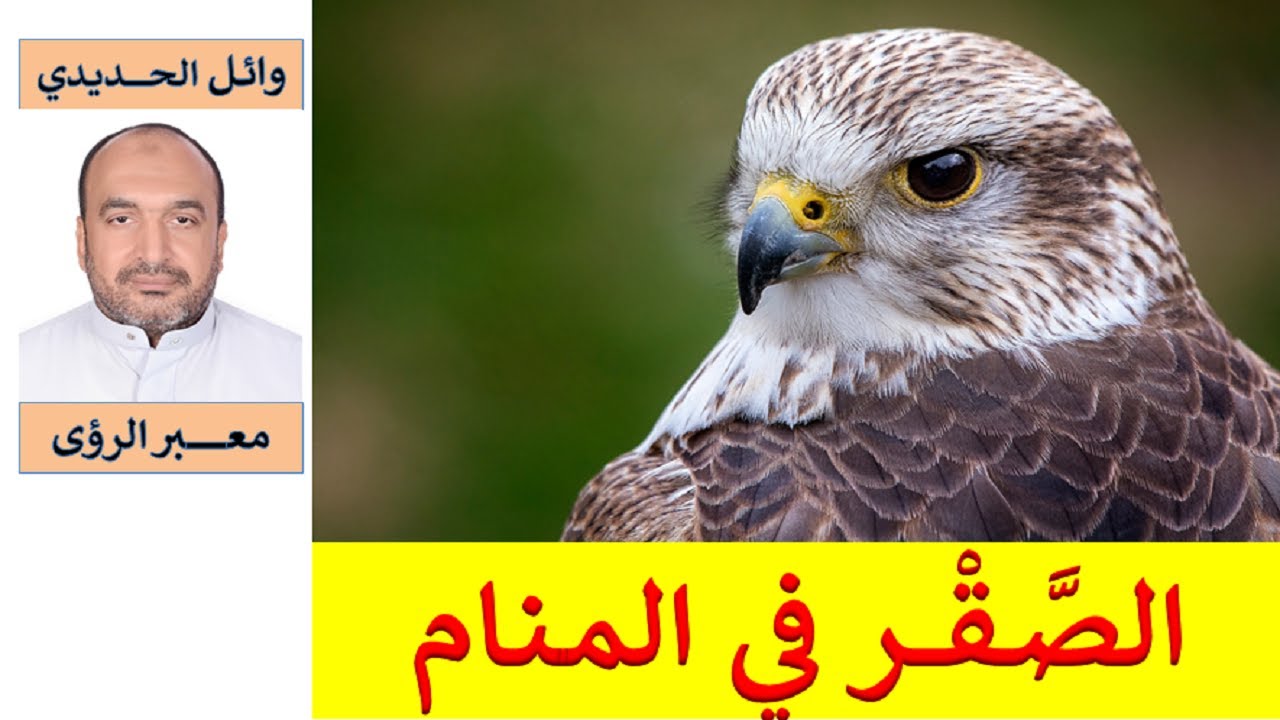 ملك الجو/ تفسير حلم الصقر في المنام/ للمفسر: وائل الحديدي
