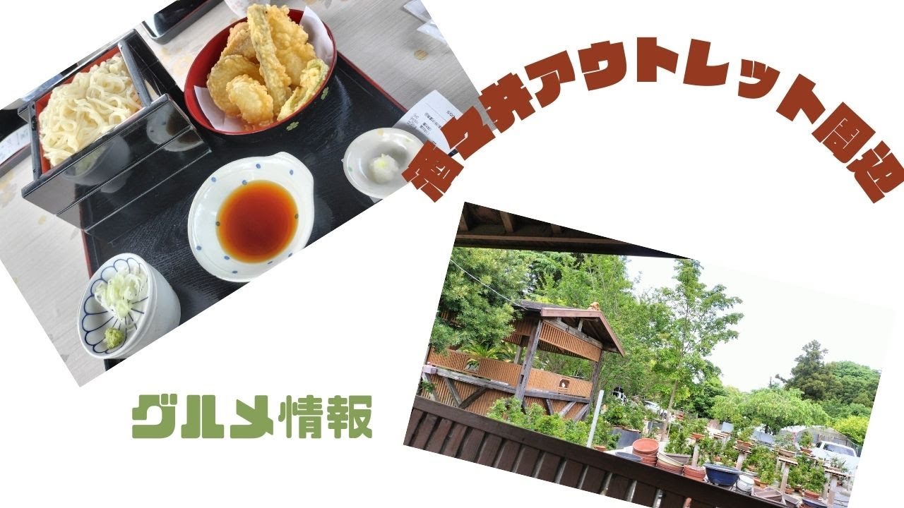 「Vlog」酒々井アウトレット周辺　グルメ情報　如月（きさらぎ）・木乃家