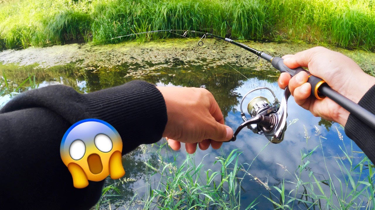 BARSCHANGELN in kleinen Flüssen 🐟 beste Stellen und Köder 🎣🔥👍🏼