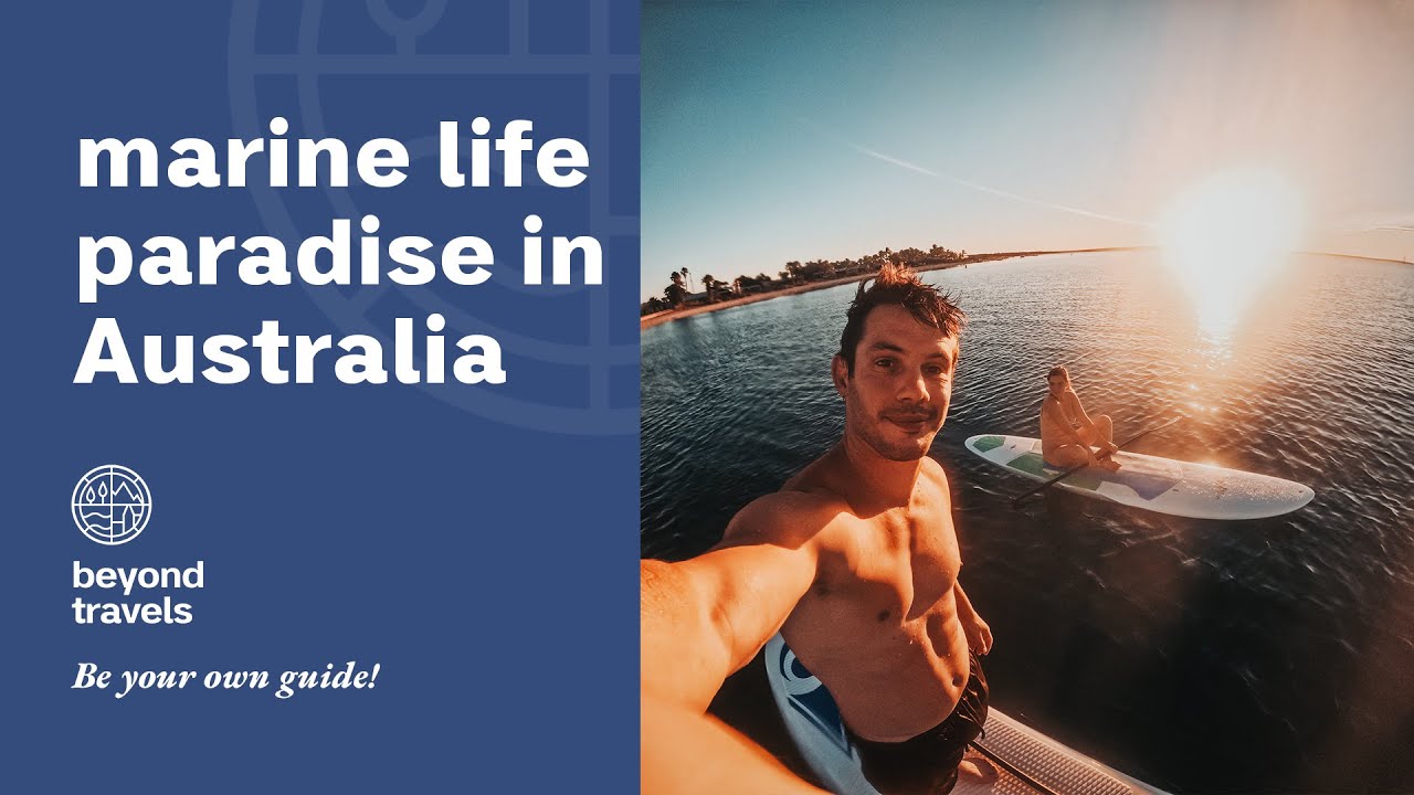 WESTERN AUSTRALIA - The Best of Shark Bay in a Weekend