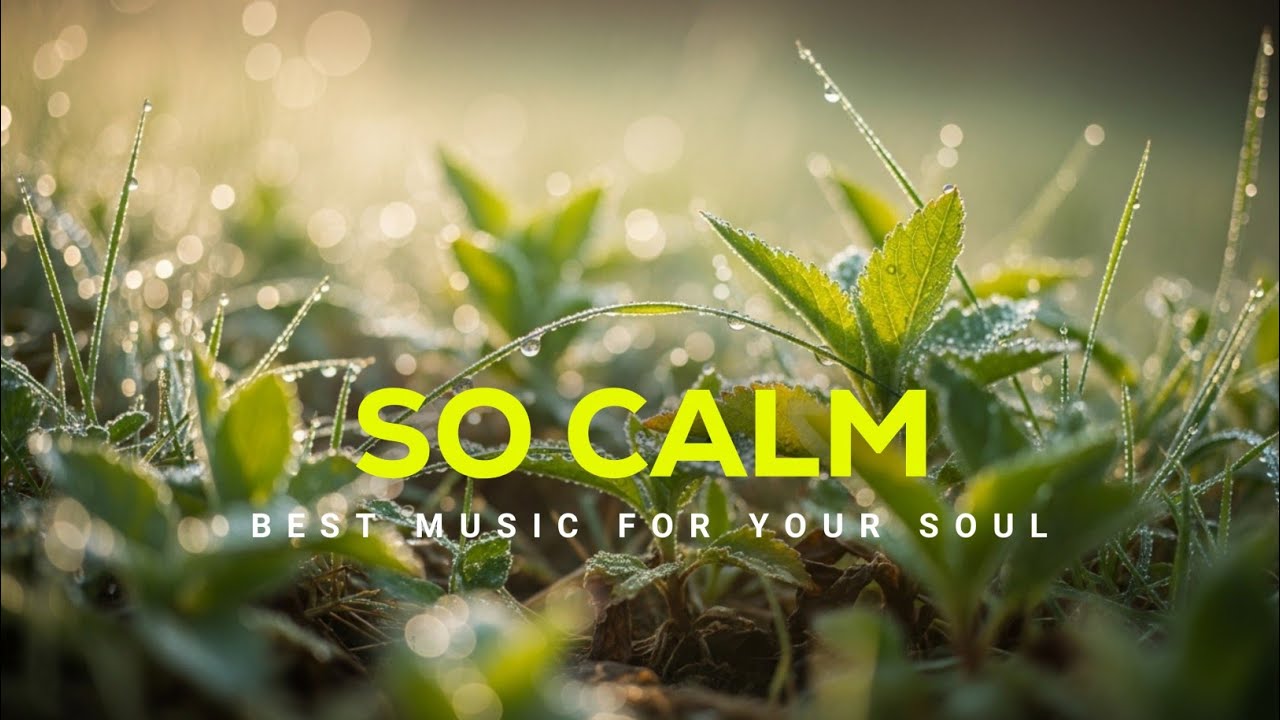 Calming Music for Stress Reduction & Peaceful Mind | Beautiful Piano Music — Stop Overthinking