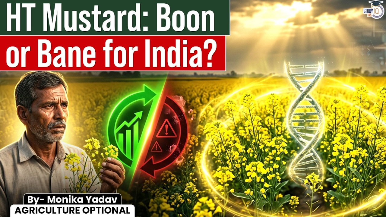 HT Mustard Controversy Explained | GM Mustard: Benefits, Risks & India's Biggest Agriculture Debate
