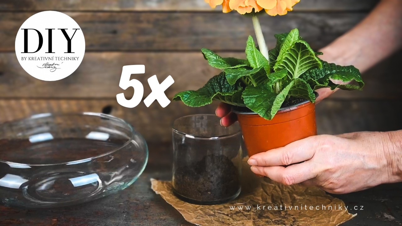 5x velikonoční dekorace, které zvládne úplně každý 🩷 Inspirace na snadnou výzdobu během chvíle