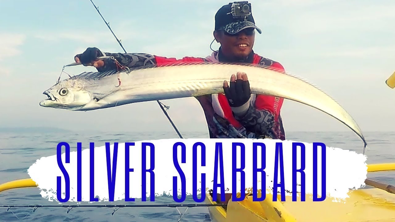 SILVER SCABBARD FISH by Pioneer Altitude 7000SV