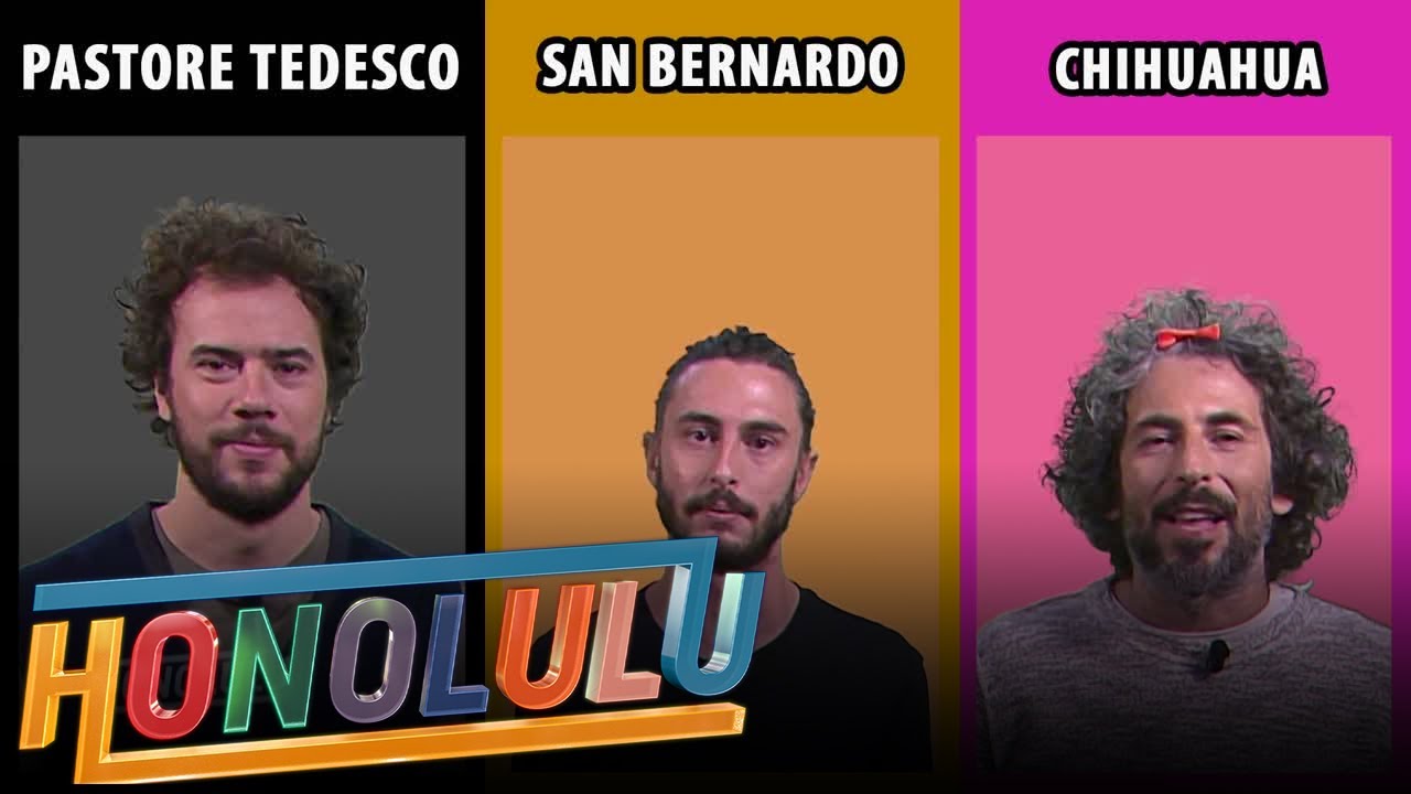 Honolulu - L'intervista tripla