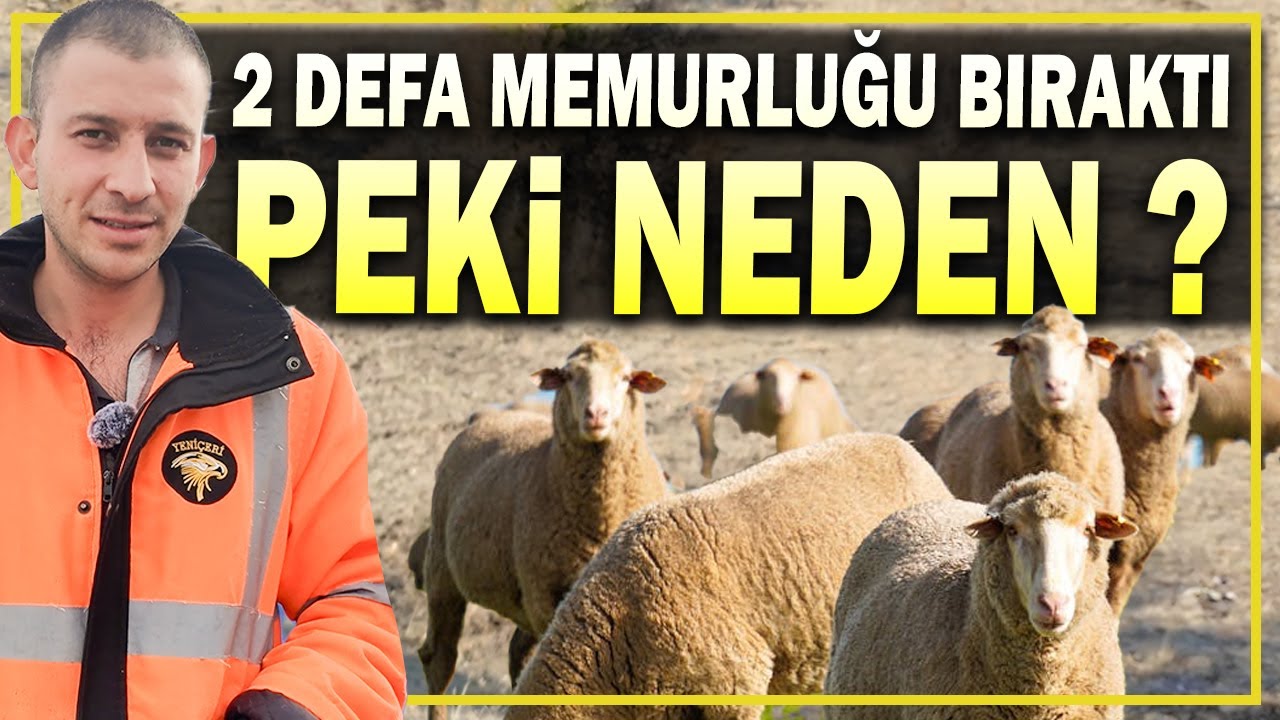 Uzman Çavuşluğu Bıraktı Çoban Oldu -Şehirden Çiftliğe Döndü @MUHAMMED CAN AYDEMİR