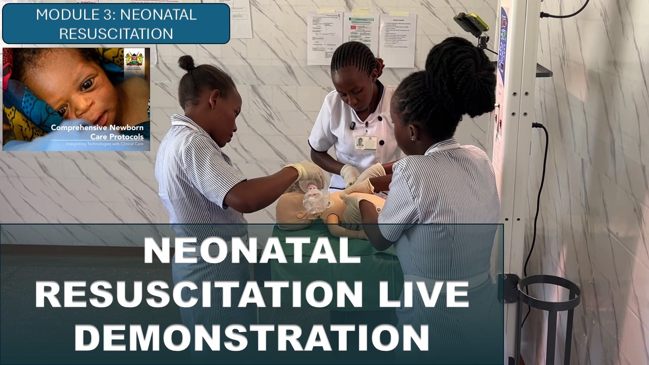 Neonatal Resuscitation Live Demonstration | Resuscitation Lesson 4