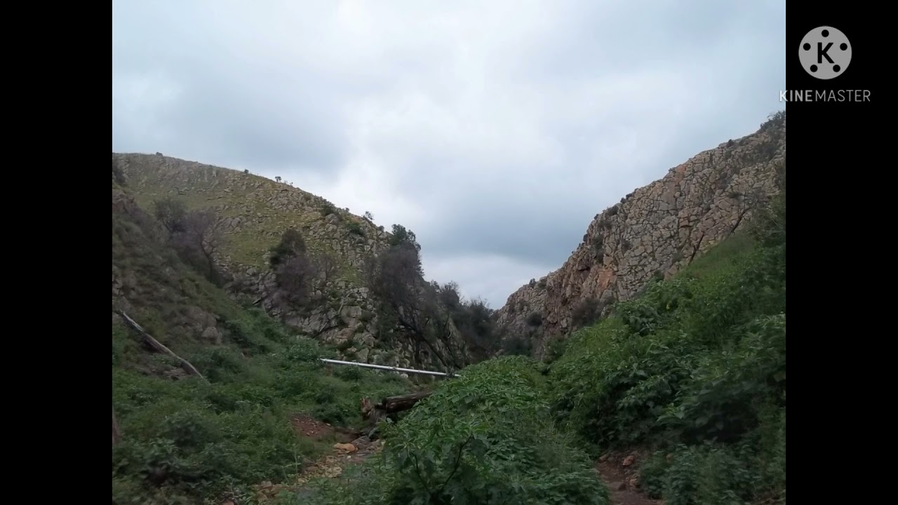 Я ЧУТЬ НЕ УМЕР ВО ВРЕМЯ ИСТОРИИ ВЕТПОРТДЖИ... БОГ СПАС МЕНЯ.
