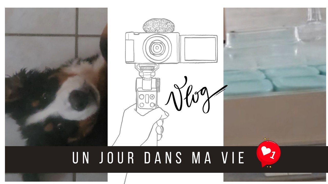 [Vlog famille Nombreuse] #1012 Des vacances compliquées