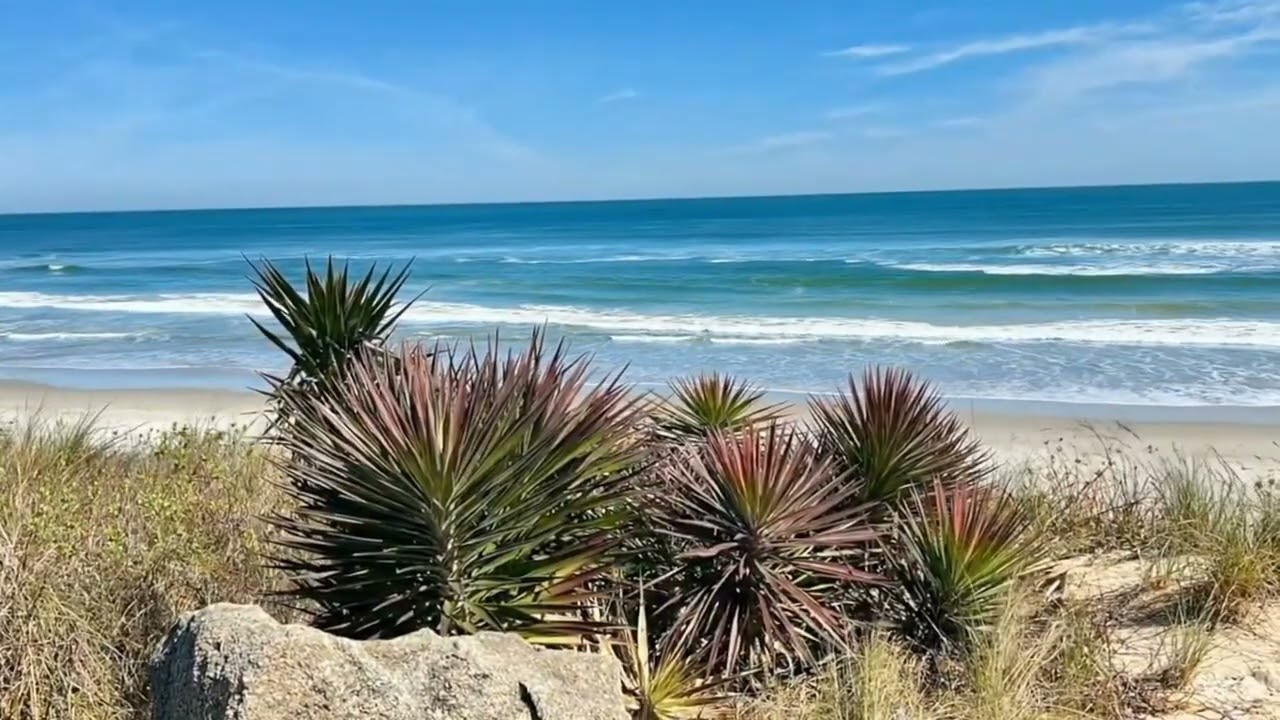 Florida Surf Meditation: Study #68