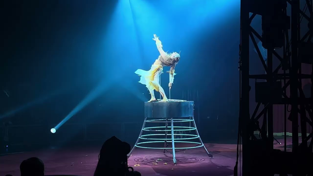 CIRCUS🎪VARGAS