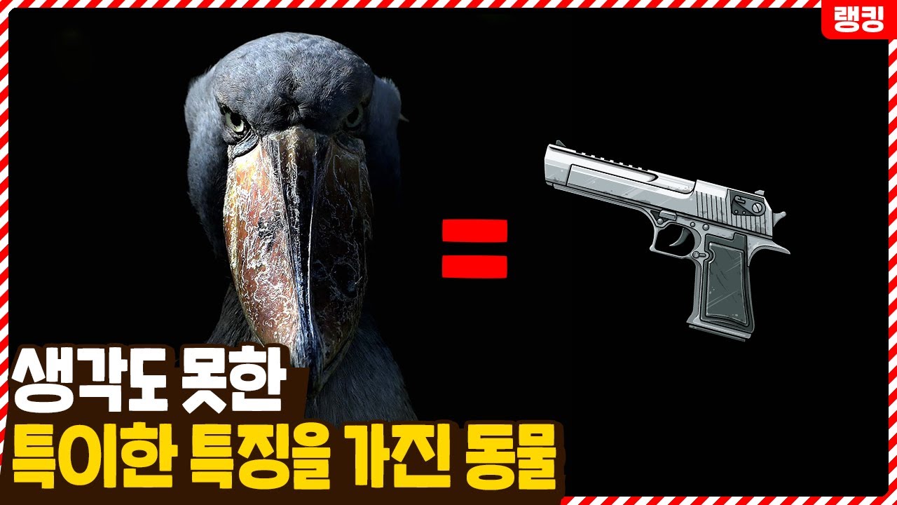 평소에 생각지도 못한 특이한 특징을 가진 동물 TOP5