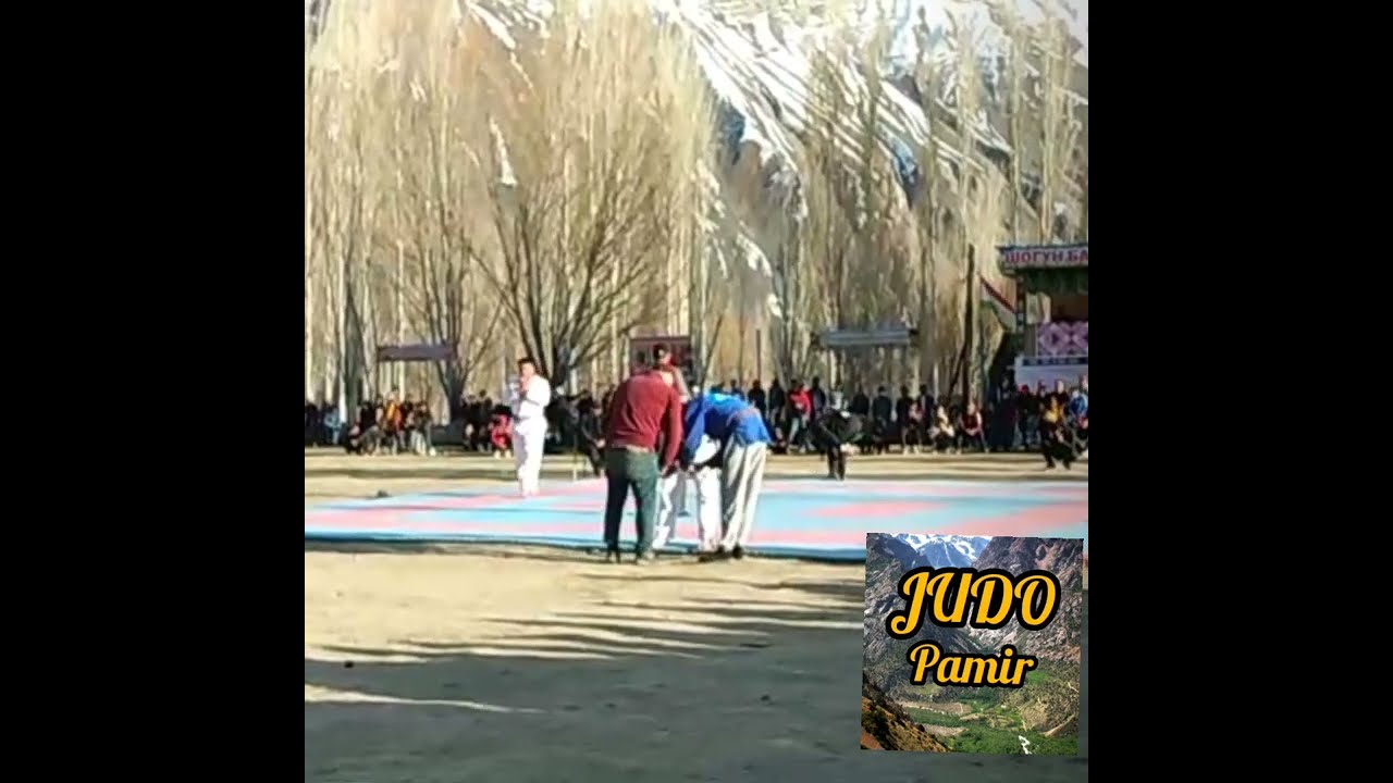 Гуштин  2024Бахрушон