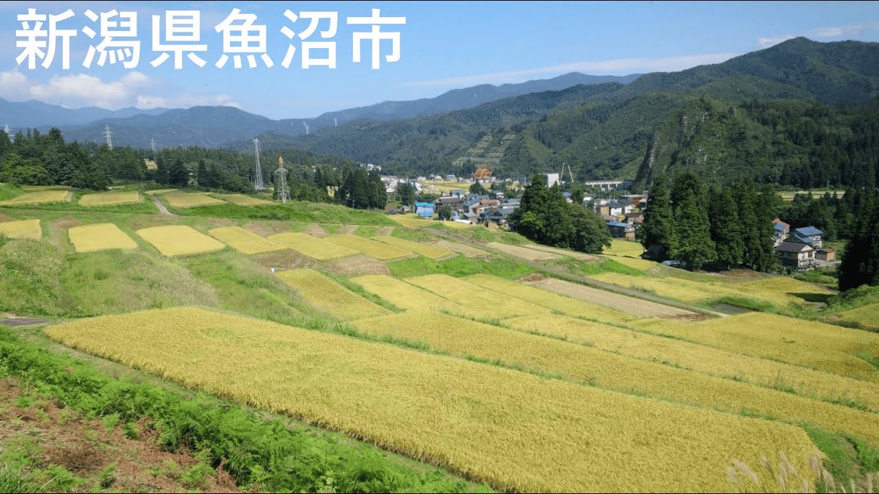 【チャレンジ新潟2025マッチングイベント】魚沼市 課題テーマプレゼン①