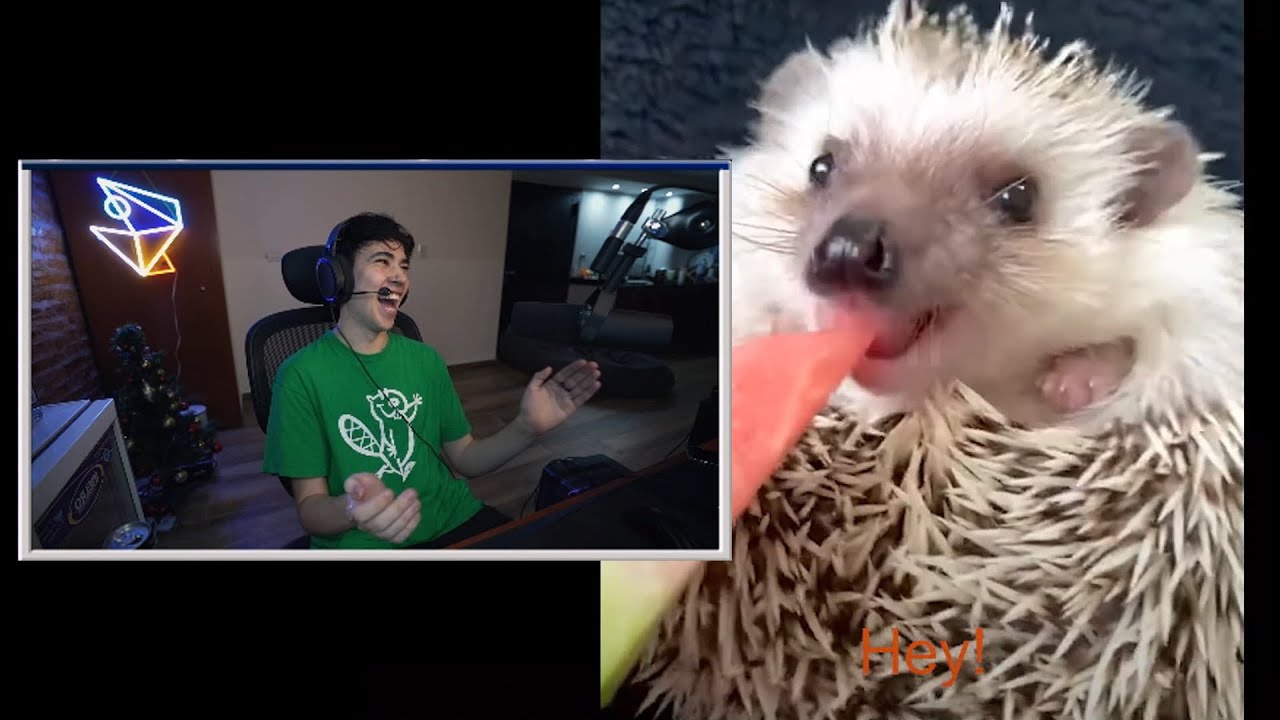 SPREEN VIENDO MEMES (PARTE 46)