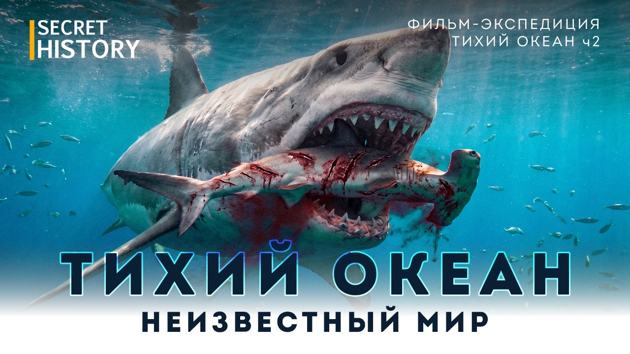 ФИЛЬМ | Великий Тихий океан. Мир, который живет по своим правилам.