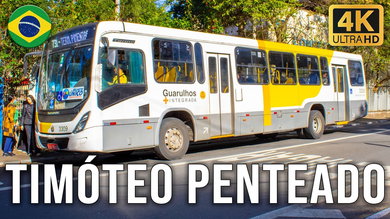 Avenida Doutor Timóteo Penteado (Guarulhos/SP) - Movimentação de Ônibus #911
