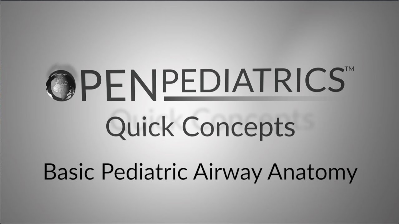 Basic Pediatric Airway Anatomy by S. Rosenblatt, N. Wolter | OPENPediatrics