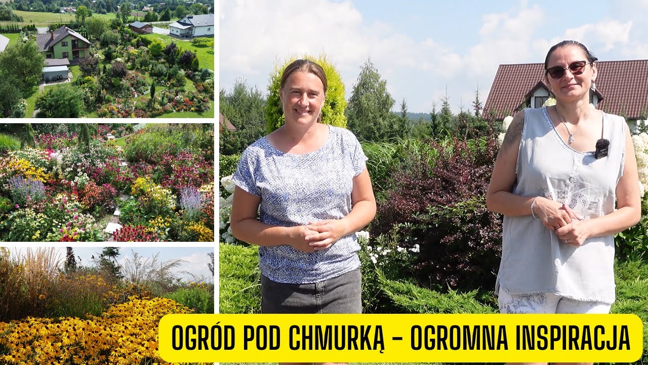 Ogród pod Chmurką – Maria Chmura i jej inspirujący ogród pełen różnorodnych roślin