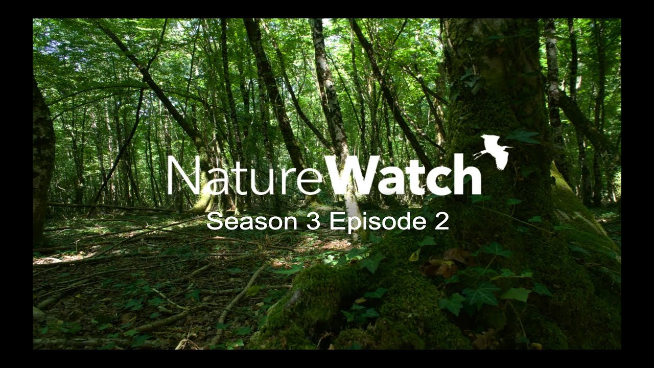 Naturewatch Season 3 Episode 2