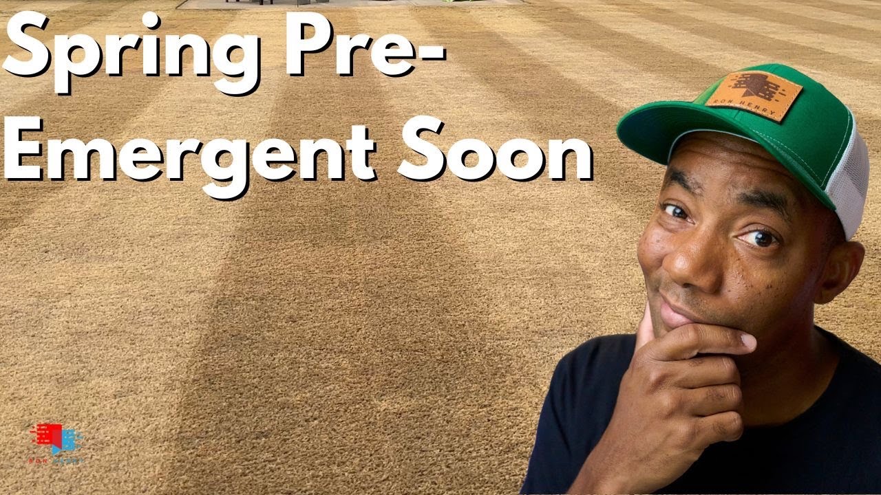 Get Ready for Spring Now - Golf Course Lawn - 290