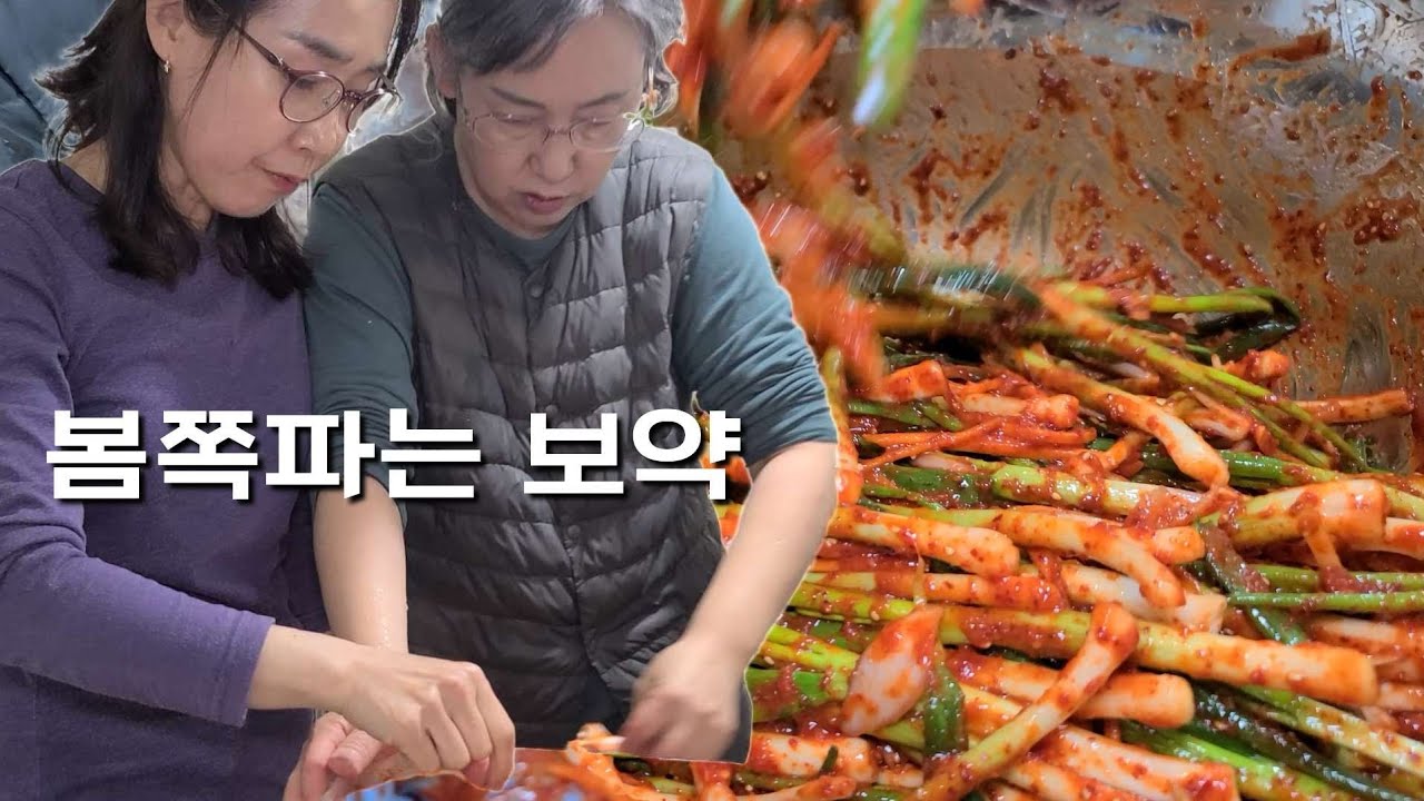 봄철 입맛돋구는 갓담은 쪽파김치와 생채를 흰쌀밥에 올리면/작은언니 즉석김치