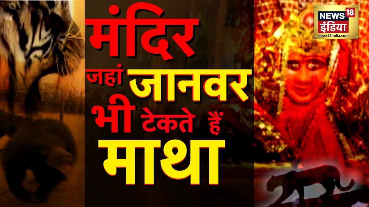 Aadhi Haqeeqat Aadha Fasana : एक मंदिर जहाँ दर्शन के लिए आते हैं खूंखार जंगली जानवर | News18 India