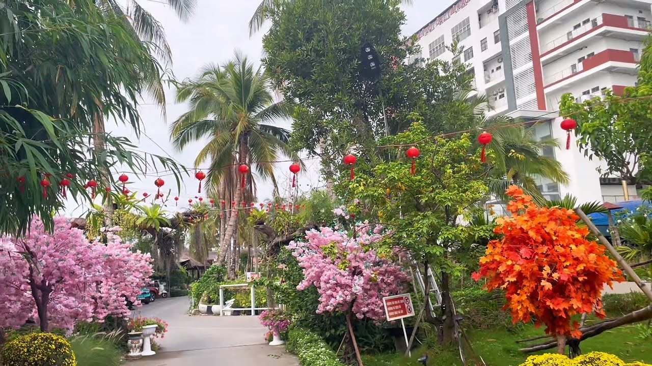 Nằm viện mà tưởng đang đi nghĩ dưỡng
