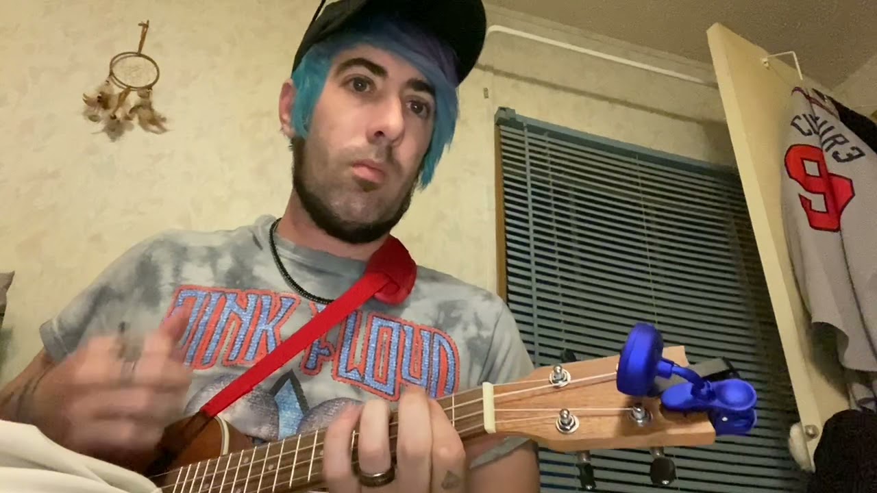 Foxtrot Uniform Charlie Kilo (Bloodhound Gang Ukulele Cover)