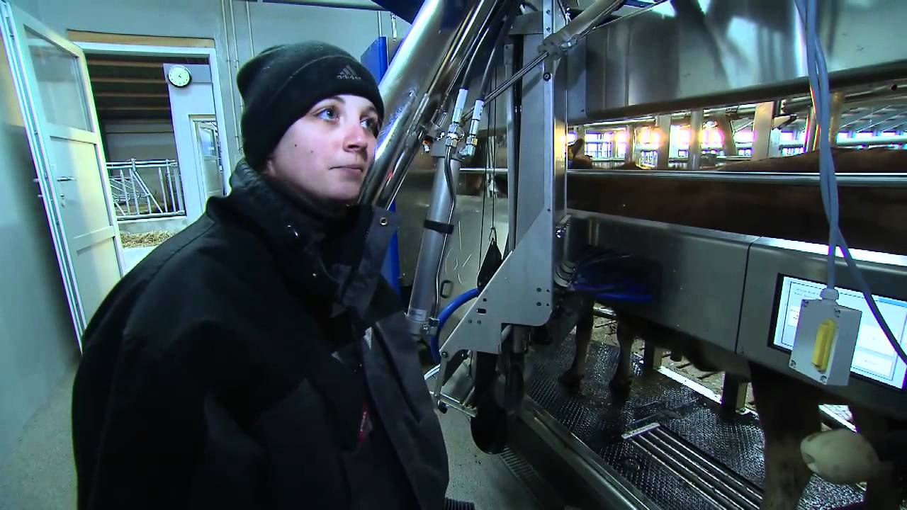 Mette og robotterne