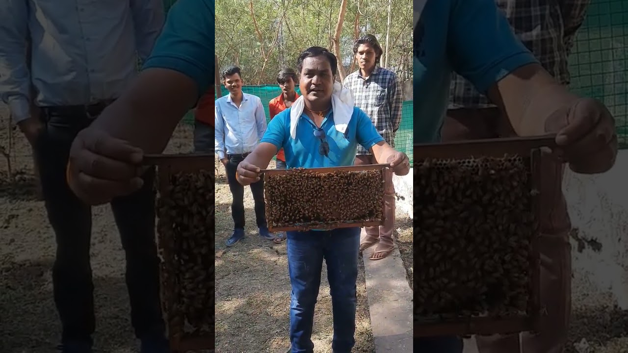 beekeeping training