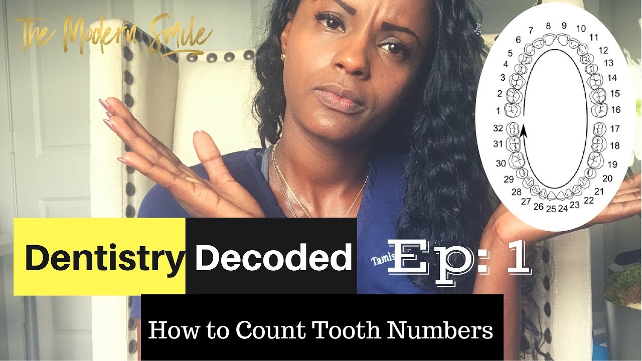 How to Count Tooth Numbers? | Dentistry Decoded Ep.1