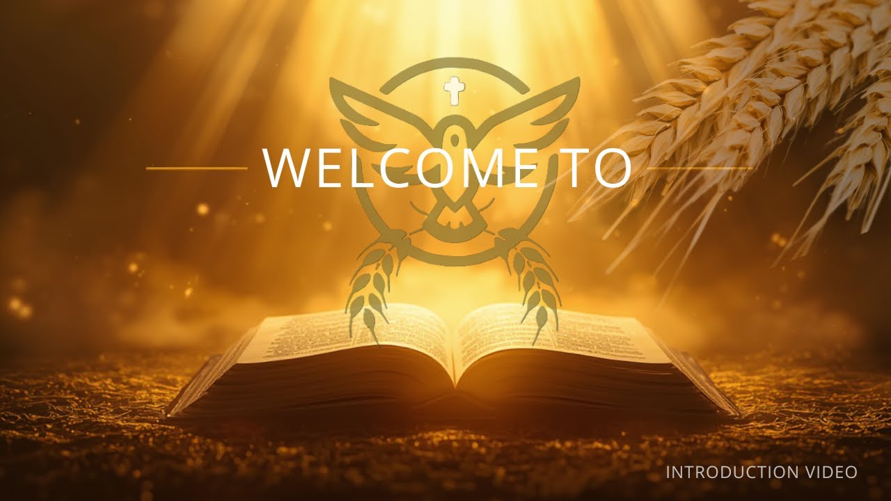 Introduction to Threshing Floor Talks Community