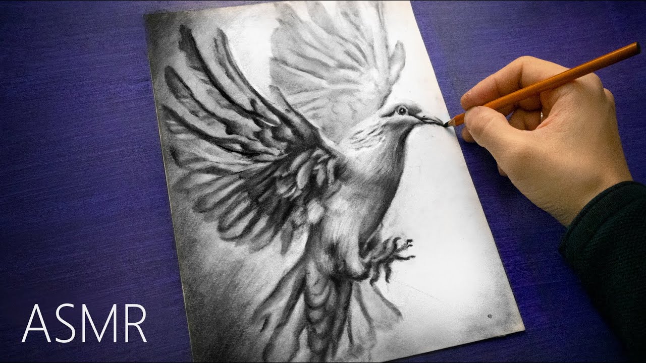 ASMR Dove Drawing with Charcoal (No Talking)