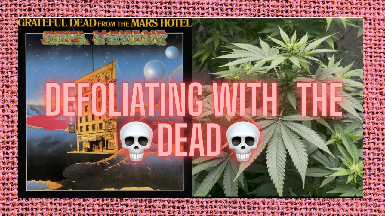 Grateful grower