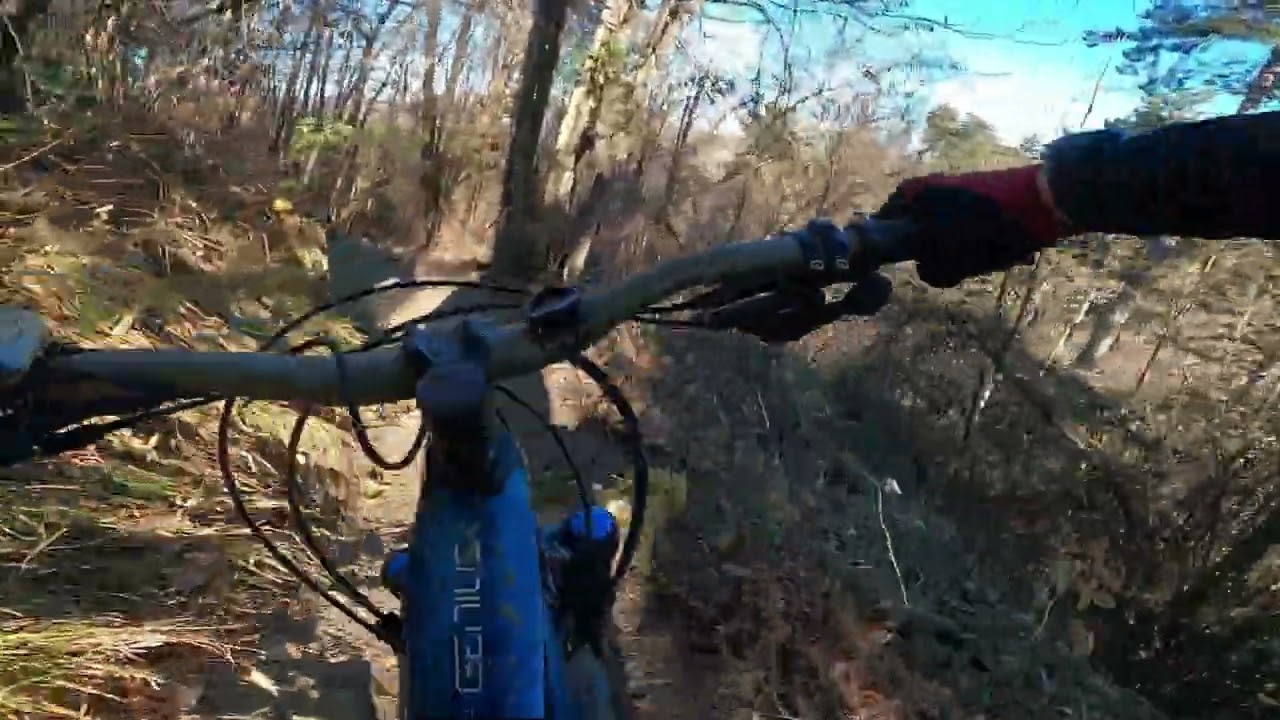 Loiano BOMBA - new DH dicembre 2024 Mtb