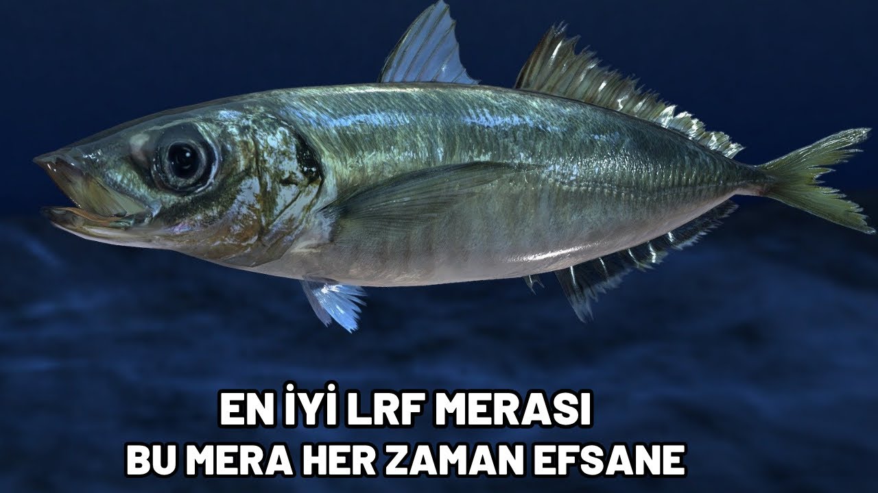ASLA BOŞ ÇEVİRMEYEN MERA !!! BOYLAR HER ZAMAN GÜZEL